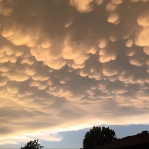 Meet your Posher, Ben